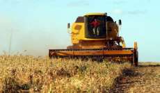 El Niño perde força, mas deixa estragos na produtividade e qualidade da soja