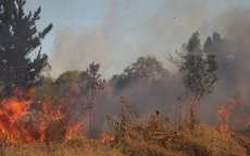 Meses de julho e agosto s&atilde;o campe&otilde;es de inc&ecirc;ndios florestais
