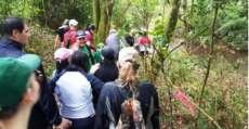 Candói - Quase 200 participantes estiveram na 3ª Caminhada Internacional do Charque