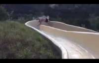 Homem &#039;voa&#039; de toboágua e cai em penhasco. Veja o vídeo que viralizou na internet!