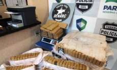 Denarc apreende 275 quilos de maconha na BR 277