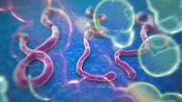 Ebola pode chegar ao Brasil, mas não há risco de epidemia, diz médico