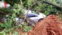 Tornado causa destruição em Marechal Cândido Rondon no Paraná. Veja vídeo