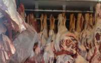 Polícia descobre mais de uma tonelada de carne imprópria que seria vendida no Paraná