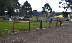 Pinhão - Parque Coronel Lustosa recebe melhorias para a 10ª Festa do Pinhão