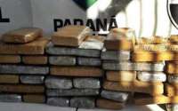 Polícia encontra 27 kg de maconha escondidos em latão, em matagal