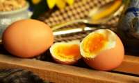 Posso comer ovo todo dia? A ciência responde esta e outras perguntas