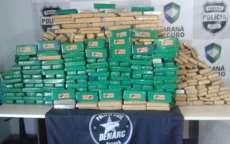 Denarc apreende 631 quilos de maconha