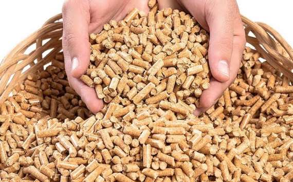 Quedas - Araupel prepara aumento da produção de pellets
