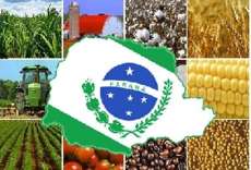 Paraná mantém 3ª posição no ranking das exportações do agronegócio