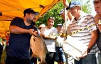 Laranjeiras - Feira do Peixe Vivo: sinônimo de qualidade de vida e sustentabilidade na geração de renda