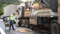 Ex morador de Guaraniaçu é preso por transportar 2 toneladas de maconha em Águas da Prata/SP