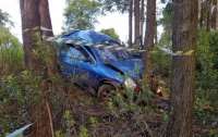 Homem morre ao bater carro contra árvore no Paraná