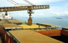 Porto de Paranaguá exportou dois milhões de toneladas de grãos no mês passado