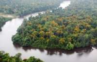 Amazônia sofre maior desmatamento desde 2008