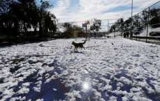 Massa polar pode fazer nevar no sul do Brasil esta semana