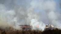 Incêndios ambientais se multiplicam em Curitiba e no Paraná