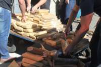 Cantagalo - Polícia Civil realiza incineração de 200 quilos de maconha