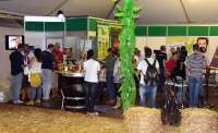 Laranjeiras - Sicredi Grandes Lagos inova na sua participação na 11ª Expoagro