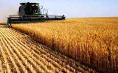 Ministério da Agricultura libera R$90 milhões para seguro rural