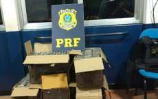 Laranjeiras - PRF apreende mais de 160 quilos de maconha na BR 277