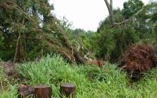 Campo Bonito - Cidade é atingida por temporal que causa vários estragos