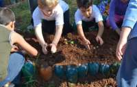 Laranjeiras - Projeto Horta Escolar integra educação, alimentação e meio ambiente