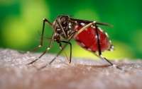 Laranjeiras - População é alertada para o perigo do mosquito da Dengue
