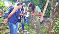 Pinhão - Município intensifica ações de combate ao mosquito Aedes Aegypti