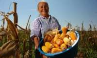 Pinhão - 1ª Feira da Exposição da Agricultura Familiar deve reunir 2 mil pessoas