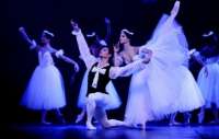 Laranjeiras - Escola de Ballet Bolshoi fará workshops no início de setembro