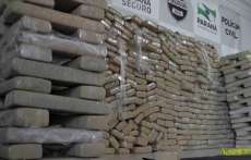 Maconha apreendida pela Denarc totalizou 486 quilos