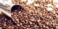 Paraná exportou 33% mais café em grãos nos primeiros setes meses do ano