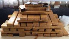 Suspeito de tráfico é preso com 50 quilos de maconha em casa no Paraná