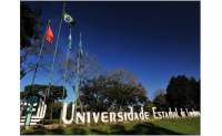 Laranjeiras - Núcleo de Educação a Distância da UEL oferta 120 vagas em quatro cursos de pós graduação