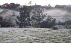 Paraná amanhece com temperaturas negativas e geada em várias regiões