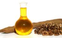 Saiba os benefícios do óleo de moringa