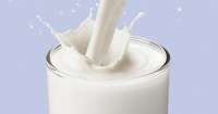 Estudo aponta que beber leite pode aumentar nível de inteligência