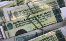 Extravio de Carteira de Habilitação cai 80% no Paraná