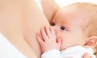 Açúcar do leite materno protege bebê contra bactérias, diz estudo
