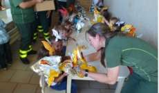 ECOCATARATAS Oferece ovos de chocolate para crianças da creche Divina Providência