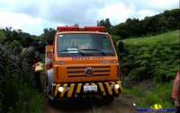 Guaraniaçu - Mulher morre após levar mais de 300 picadas de abelha