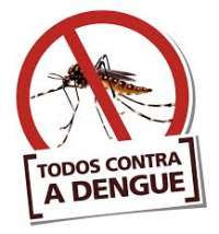 Paraná - Estado já contabiliza 8.528 casos e cinco mortes por dengue