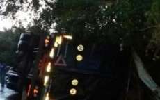 Carreta tomba após enxame de abelhas &#039;atacar&#039; motorista