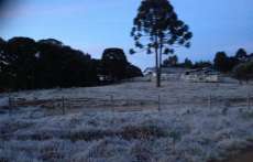 Paraná amanheceu com temperaturas negativas e geada pelo 2º dia seguido