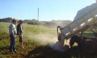 Porto Barreiro - Produtores começam a receber o calcário