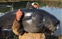 Homem quase bate recorde de pesca ao capturar peixe enorme