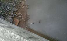 Foto - Sebastião Maciel