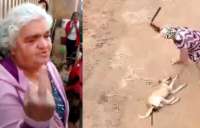 Veja vídeo e a história da mulher que espancou cachorro e chocou o Brasil