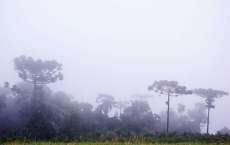 No Paraná frio volta com força no domingo